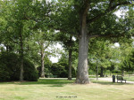Van Heekpark